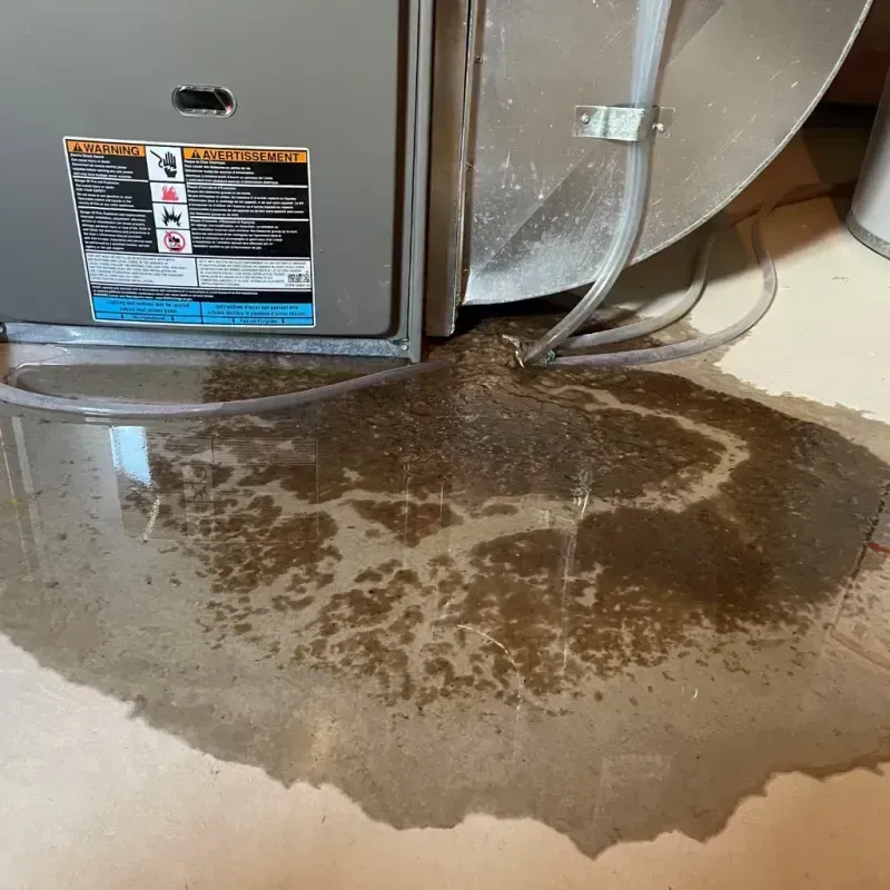 Appliance Leak Cleanup in Jackson, WI